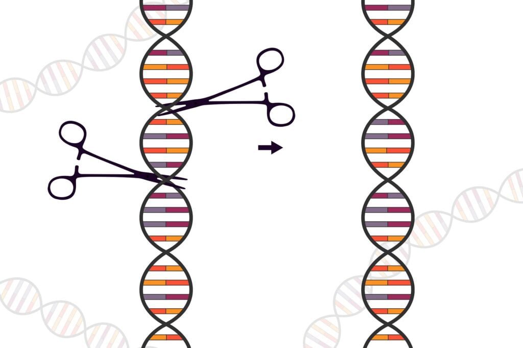 Evrim ve Gelecek: CRISPR ve Gen Düzenleme