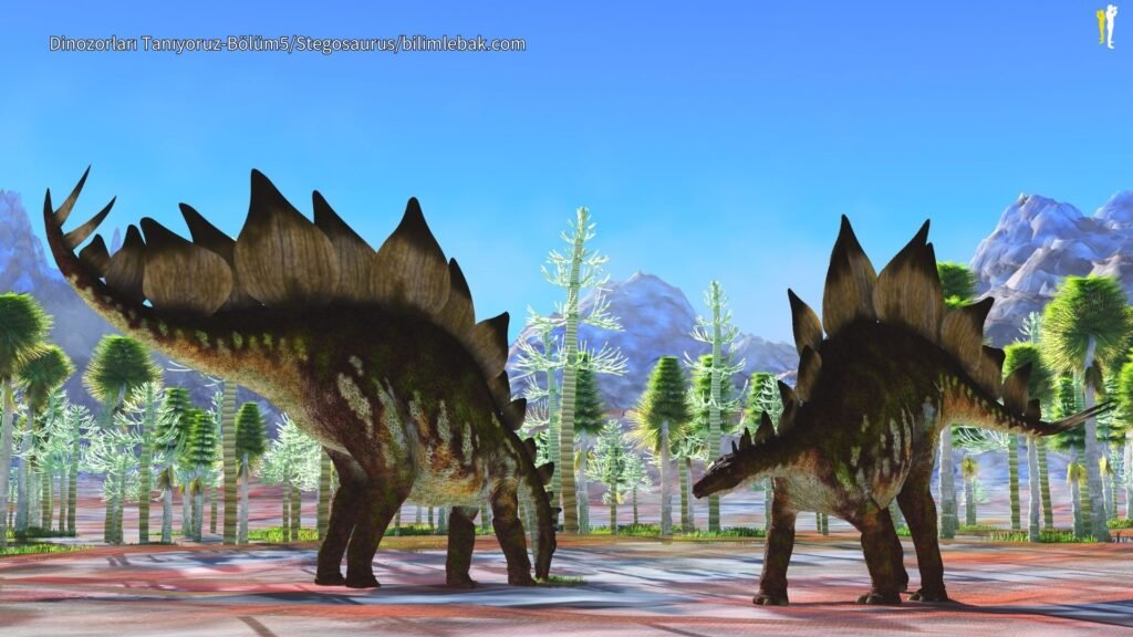 Stegosaurus