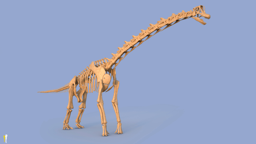 Brachiosaurus