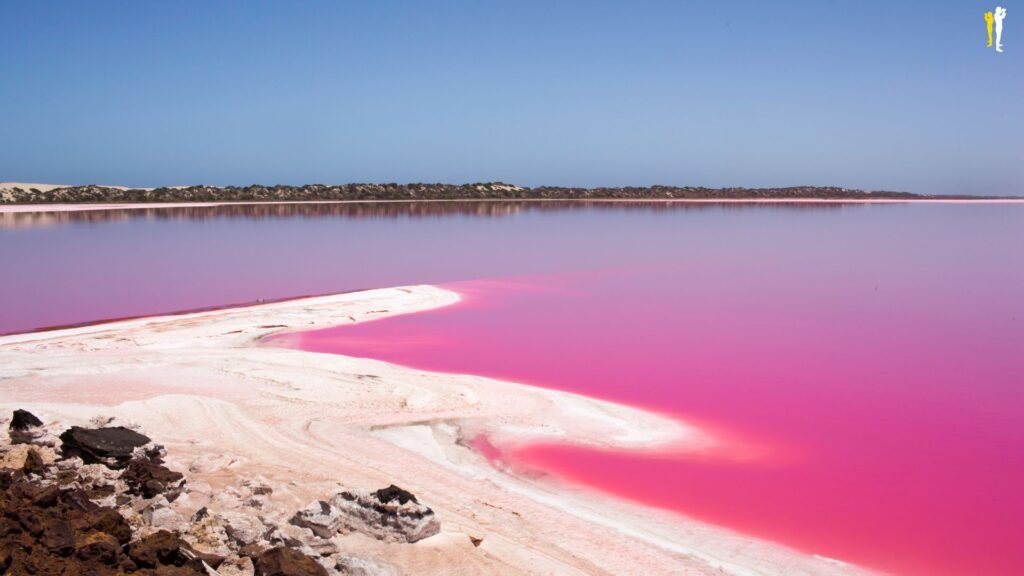 Bazı Göller Neden Kırmızı ya da Pembe Renge Bürünür?